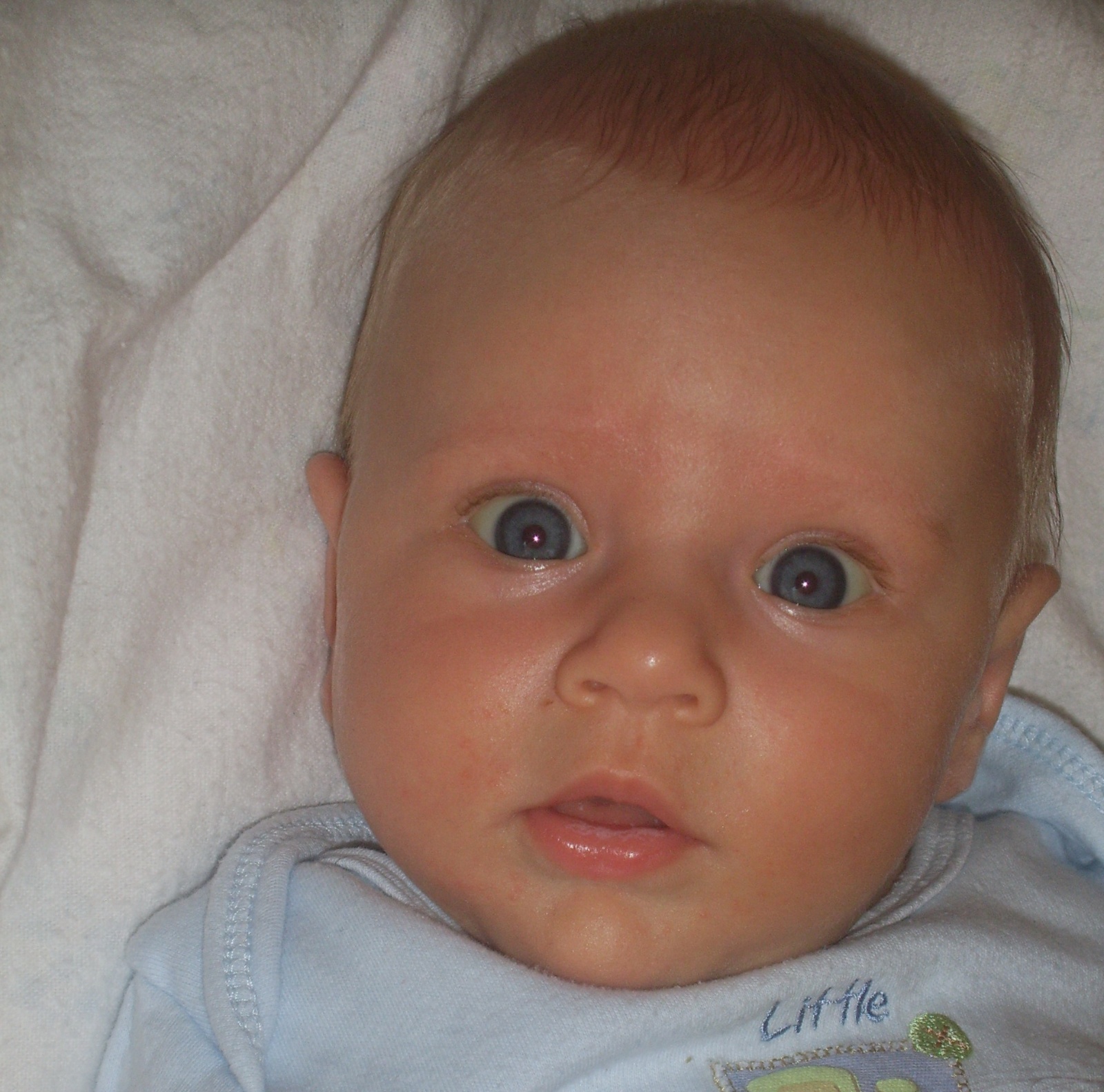 Hallo to Ja ...