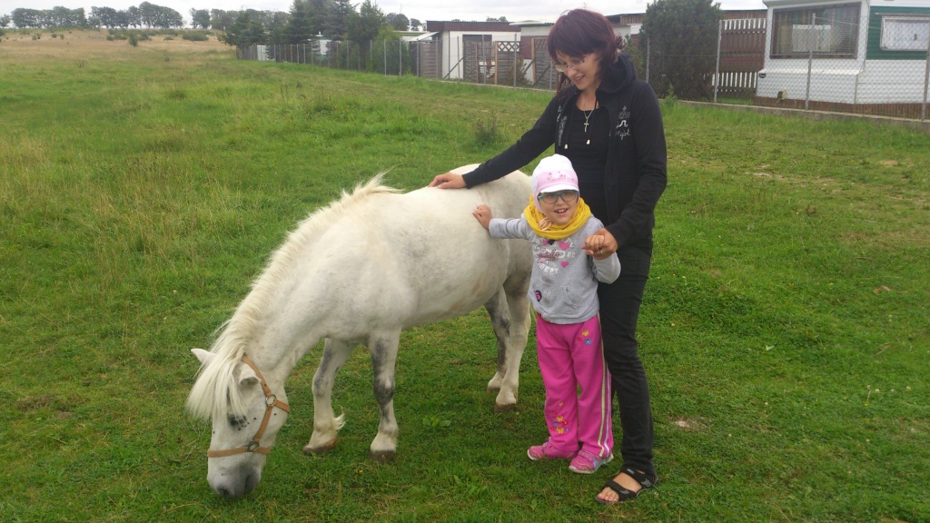 Konik
